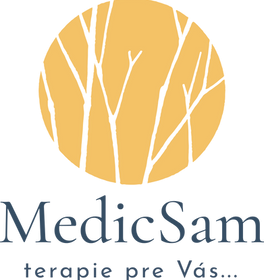 MedicSam